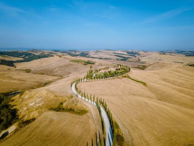 Tuscany manzarası, tahıl tarlaları, selvi ağaçları ve gün batımında tepelerde evler. Tuscany, İtalya, Avrupa, İtalya, Tarım Bakolenosu 'nda kıvrımlı yolu olan yaz kırsal arazisi 