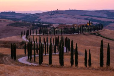 Tuscany manzarası, tahıl tarlaları, selvi ağaçları ve gün batımında tepelerde evler. Tuscany, İtalya, Avrupa, İtalya, Tarım Bakolenosu 'nda kıvrımlı yolu olan yaz kırsal arazisi 
