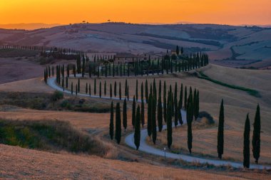 Tuscany manzarası, tahıl tarlaları, selvi ağaçları ve gün batımında tepelerde evler. Tuscany, İtalya, Avrupa, İtalya, Tarım Bakolenosu 'nda kıvrımlı yolu olan yaz kırsal arazisi 