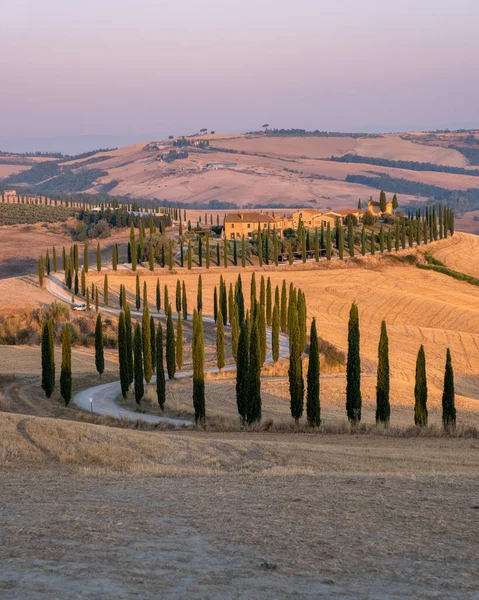 Tuscany manzarası, tahıl tarlaları, selvi ağaçları ve gün batımında tepelerde evler. Tuscany, İtalya, Avrupa, İtalya, Tarım Bakolenosu 'nda kıvrımlı yolu olan yaz kırsal arazisi 