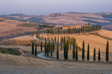 Tuscany manzarası, tahıl tarlaları, selvi ağaçları ve gün batımında tepelerde evler. Tuscany, İtalya, Avrupa, İtalya, Tarım Bakolenosu 'nda kıvrımlı yolu olan yaz kırsal arazisi 