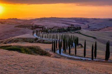 Tuscany manzarası, tahıl tarlaları, selvi ağaçları ve gün batımında tepelerde evler. Tuscany, İtalya, Avrupa, İtalya, Tarım Bakolenosu 'nda kıvrımlı yolu olan yaz kırsal arazisi 