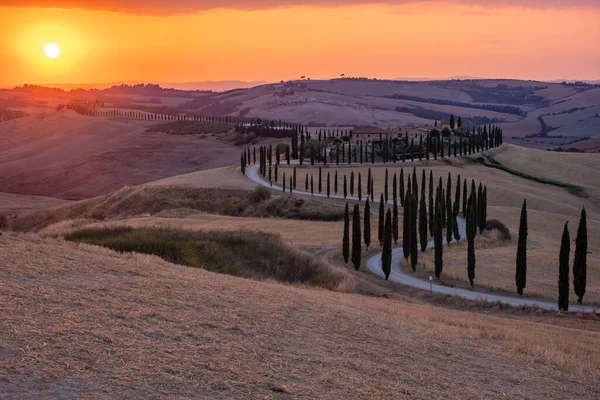 Paisaje toscano con campos de grano, cipreses y casas en las colinas al atardecer. Paisaje rural de verano con carretera curva en Toscana, Italia, Europa, Italia, Agriturismo Baccoleno —  Fotos de Stock