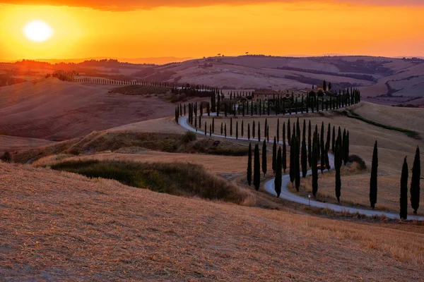 Tuscany manzarası, tahıl tarlaları, selvi ağaçları ve gün batımında tepelerde evler. Tuscany, İtalya, Avrupa, İtalya, Tarım Bakolenosu 'nda kıvrımlı yolu olan yaz kırsal arazisi — Stok fotoğraf