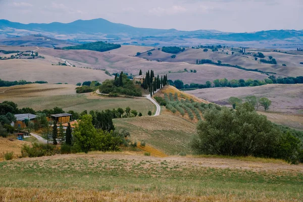 Tuscany manzarası, tahıl tarlaları, selvi ağaçları ve gün batımında tepelerde evler. Tuscany, İtalya, Avrupa, İtalya, Tarım Bakolenosu 'nda kıvrımlı yolu olan yaz kırsal arazisi — Stok fotoğraf