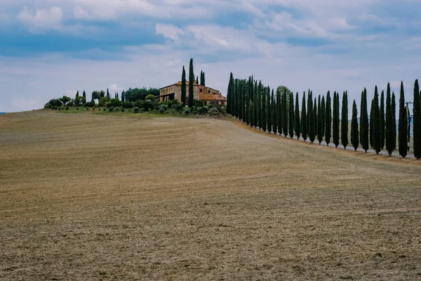 Τοσκάνη τοπίο με χωράφια σιτηρών, κυπαρίσσια και σπίτια στους λόφους κατά το ηλιοβασίλεμα. Καλοκαίρι αγροτικό τοπίο με κυρτή δρόμο στην Τοσκάνη, Ιταλία, Ευρώπη, Ιταλία, Agriturismo Baccoleno — Φωτογραφία Αρχείου