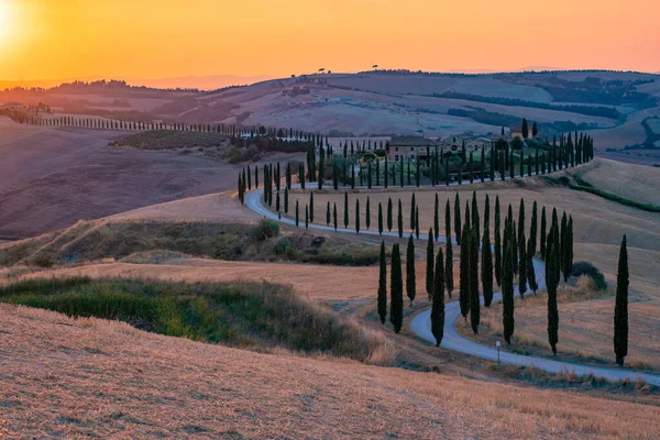 Toscane landschap met graanvelden, cipressen en huizen op de heuvels bij zonsondergang. Zomer landelijk landschap met gebogen weg in Toscane, Italië, Europa, Italië, Agriturismo Baccoleno — Stockfoto