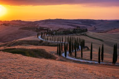 Tuscany manzarası, tahıl tarlaları, selvi ağaçları ve gün batımında tepelerde evler. Tuscany, İtalya, Avrupa, İtalya, Tarım Bakolenosu 'nda kıvrımlı yolu olan yaz kırsal arazisi 