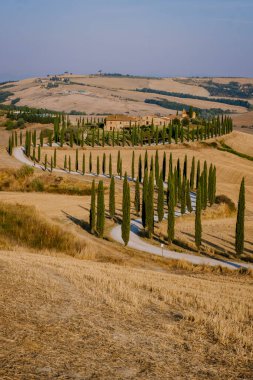 Tuscany manzarası, tahıl tarlaları, selvi ağaçları ve gün batımında tepelerde evler. Tuscany, İtalya, Avrupa, İtalya, Tarım Bakolenosu 'nda kıvrımlı yolu olan yaz kırsal arazisi 
