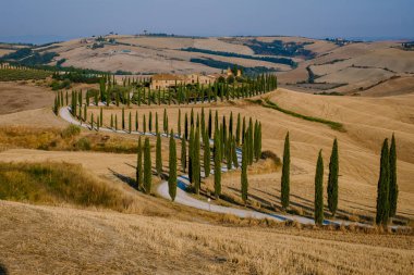 Tuscany manzarası, tahıl tarlaları, selvi ağaçları ve gün batımında tepelerde evler. Tuscany, İtalya, Avrupa, İtalya, Tarım Bakolenosu 'nda kıvrımlı yolu olan yaz kırsal arazisi 