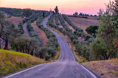 Batan güneşin ışığında uzanan güzel selvi yolu Toscane, Toscany İtalya tepelerinde kıvrımlı bir yol.