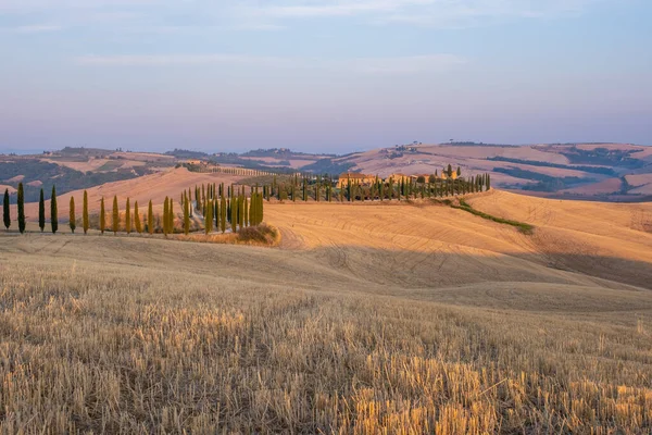 Toscane landschap met graanvelden, cipressen en huizen op de heuvels bij zonsondergang. Zomer landelijk landschap met gebogen weg in Toscane, Italië, Europa, Italië, Agriturismo Baccoleno — Stockfoto