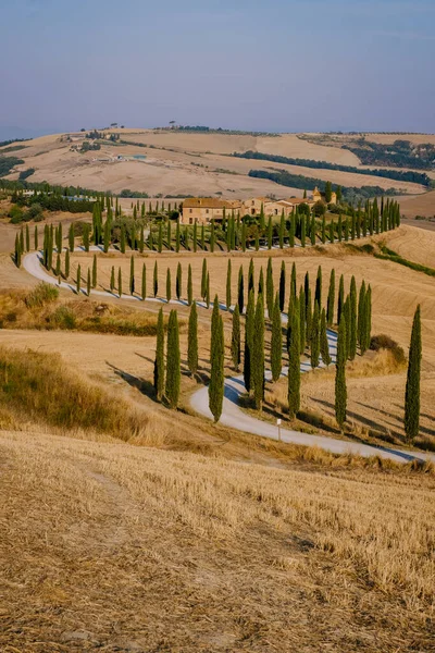 Τοσκάνη τοπίο με χωράφια σιτηρών, κυπαρίσσια και σπίτια στους λόφους κατά το ηλιοβασίλεμα. Καλοκαίρι αγροτικό τοπίο με κυρτή δρόμο στην Τοσκάνη, Ιταλία, Ευρώπη, Ιταλία, Agriturismo Baccoleno — Φωτογραφία Αρχείου