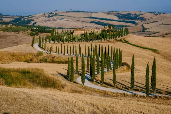 Paisaje toscano con campos de grano, cipreses y casas en las colinas al atardecer. Paisaje rural de verano con carretera curva en Toscana, Italia, Europa, Italia, Agriturismo Baccoleno —  Fotos de Stock