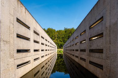Waterloopbos Vollenhove Flevoland Hollanda 'daki beton bloklar, suyun belli yapılara tepkisini test etmek için kullanılır. Hollanda ormanında sonbahar