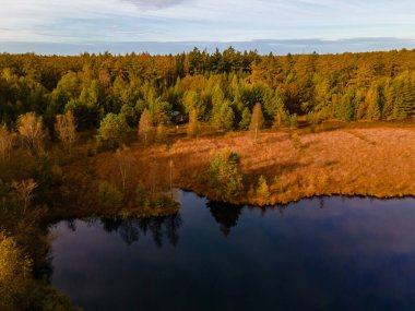Hollanda 'daki sonbahar ormanlarında ahşap kulübe, şebeke dışı kulübe, renkli sarı ve kırmızı düşen ağaçlarla çevrili ahşap kulübe.