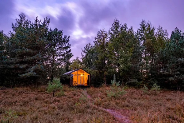Wooden hut in autumn forest in the Netherlands, cabin off grid ,wooden cabin circled by colorful yellow and red fall trees