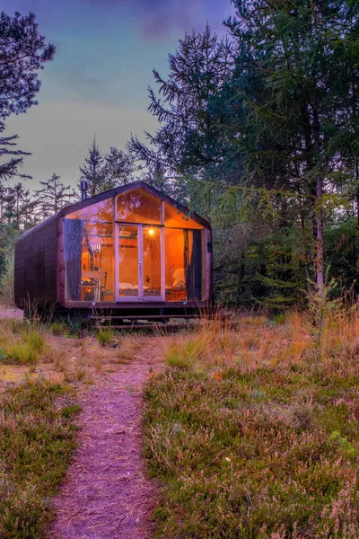 オランダの秋の森の中の木造小屋、グリッドオフキャビン、カラフルな黄色と赤の秋の木に囲まれた木造キャビン — ストック写真