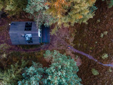 Hollanda 'daki sonbahar ormanlarında ahşap kulübe, şebeke dışı kulübe, renkli sarı ve kırmızı düşen ağaçlarla çevrili ahşap kulübe.