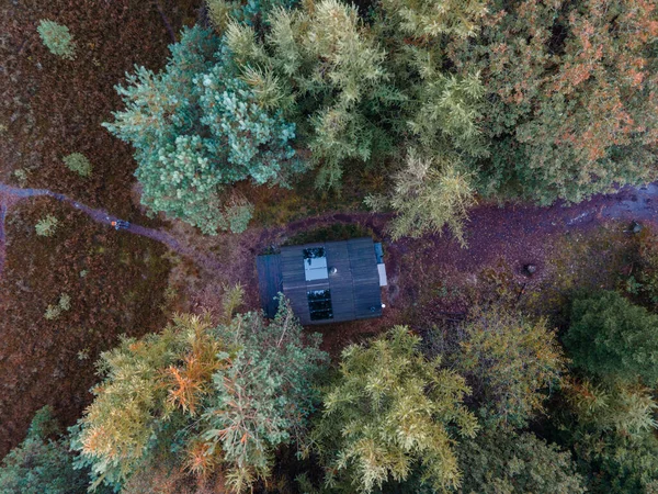オランダの秋の森の中の木造小屋、グリッドオフキャビン、カラフルな黄色と赤の秋の木に囲まれた木造キャビン — ストック写真