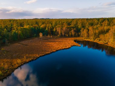 Ekim ayında ulusal park Drentsche Aa 'da turuncu kırmızı ağaçlı sonbahar renkleri. Hollanda' da sonbahar mevsimi boyunca Drenthe 'de renkli sonbahar ağaçları.