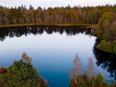 Ekim ayında ulusal park Drentsche Aa 'da turuncu kırmızı ağaçlı sonbahar renkleri. Hollanda' da sonbahar mevsimi boyunca Drenthe 'de renkli sonbahar ağaçları.