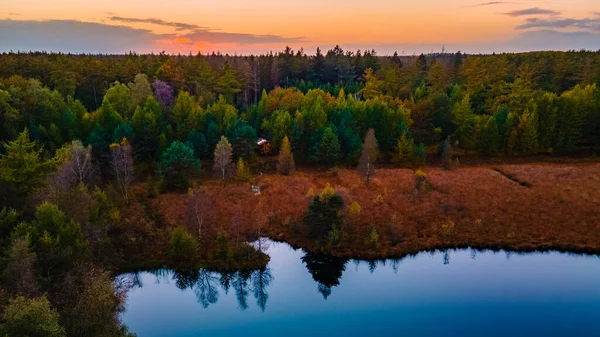 Trästuga i höstskog i Nederländerna, stuga utanför rutnät, trästuga omgiven av färgglada gula och röda fallträd — Stockfoto