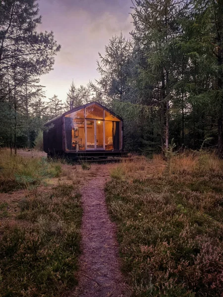 オランダの秋の森の中の木造小屋、グリッドオフキャビン、カラフルな黄色と赤の秋の木に囲まれた木造キャビン — ストック写真