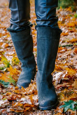 , Kadın siyah çizme, orta yaşlı kadın sonbahar mevsiminde ormanda yürüyor Hollanda 'da sonbahar mevsiminde turuncu kırmızı ağaçlarla doğa yürüyüşü yapıyor.