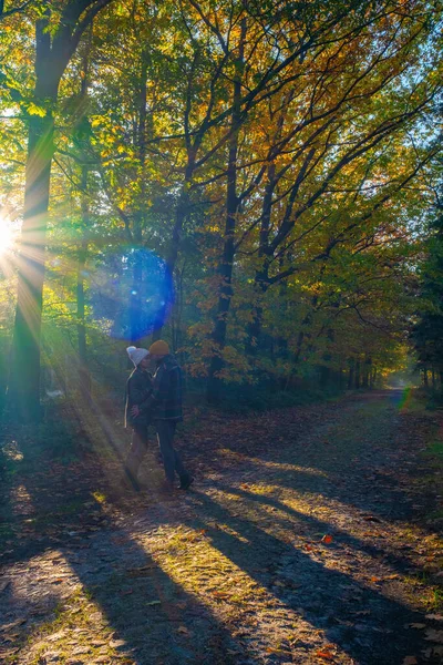 Paar Mann und Frau mittleren Alters wandern im Wald während der Herbstsaison in der Natur Trekking mit orangeroten Bäumen während der Herbstsaison in den Niederlanden Drentsche Aa — Stockfoto