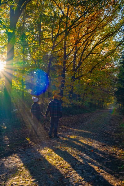 Pareja hombre y mujer mediana edad caminando en el bosque durante la temporada de otoño en la naturaleza trekking con árboles de color rojo anaranjado durante la temporada de otoño en los Países Bajos Drentsche Aa — Foto de Stock