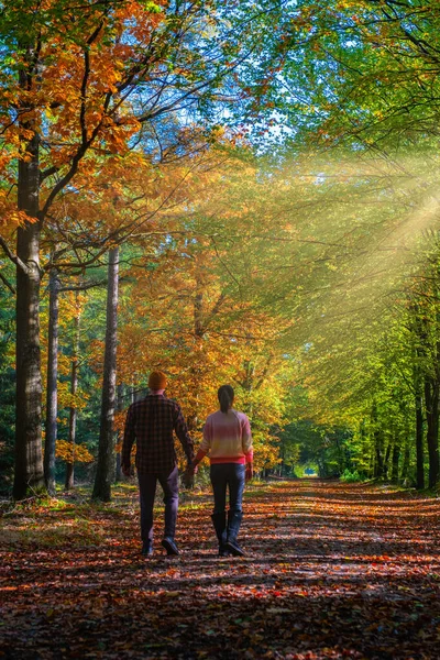 Paar Mann und Frau mittleren Alters wandern im Wald während der Herbstsaison in der Natur Trekking mit orangeroten Bäumen während der Herbstsaison in den Niederlanden Drentsche Aa — Stockfoto