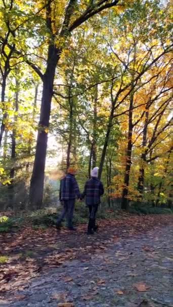 Paar Mann und Frau mittleren Alters wandern im Wald während der Herbstsaison in der Natur Trekking mit orangeroten Bäumen während der Herbstsaison in den Niederlanden Drentsche Aa — Stockvideo