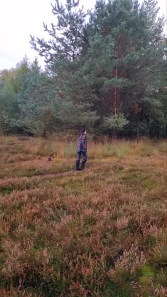 Mujer de mediana edad caminando en el bosque durante la temporada de otoño en la naturaleza trekking con árboles de color rojo anaranjado durante la temporada de otoño en los Países Bajos Drentsche Aa — Vídeos de Stock