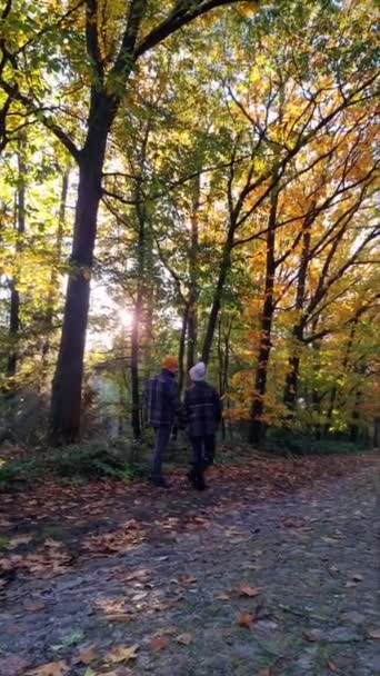 オランダの秋の間にオレンジ色の木々と自然のトレッキングで秋のシーズン中に森の中を歩く2人の男女｜Drentsche Aa — ストック動画