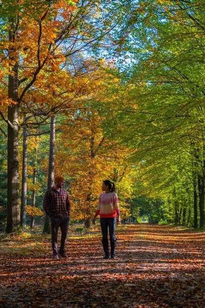 Para mężczyzna i kobieta w średnim wieku spaceruje w lesie jesienią w przyrodzie trekking z pomarańczowo-czerwonymi drzewami w sezonie jesiennym w Holandii Drentsche Aa — Zdjęcie stockowe