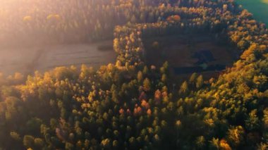 Ekim ayında ulusal park Drentsche Aa 'da turuncu kırmızı ağaçlı sonbahar renkleri. Hollanda' da sonbahar mevsimi boyunca Drenthe 'de renkli sonbahar ağaçları.