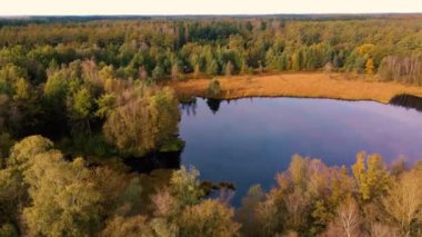 Ekim ayında ulusal park Drentsche Aa 'da turuncu kırmızı ağaçlı sonbahar renkleri. Hollanda' da sonbahar mevsimi boyunca Drenthe 'de renkli sonbahar ağaçları.