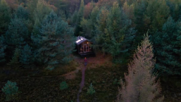 オランダの秋の森の中の木造小屋、グリッドオフキャビン、カラフルな黄色と赤の秋の木に囲まれた木造キャビン — ストック動画