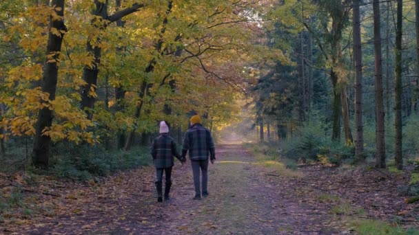 Couple homme et femme d'âge moyen marchant dans la forêt pendant la saison d'automne dans la nature trekking avec des arbres de couleur rouge orangé pendant la saison d'automne aux Pays-Bas Drentsche Aa — Video