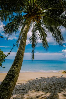 Banana Beach, Phuket, Tayland, Tayland, Phuket Adası 'nda palmiye ağaçları olan güzel bir tropikal plaj Choeng Thale, Thalang, Phuket Eyaleti, Tayland.