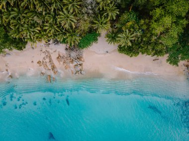 Banana Beach, Phuket, Tayland, Tayland, Phuket Adası 'nda palmiye ağaçları olan güzel bir tropikal plaj Choeng Thale, Thalang, Phuket Eyaleti, Tayland.