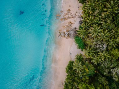 Banana Beach, Phuket, Tayland, Tayland, Phuket Adası 'nda palmiye ağaçları olan güzel bir tropikal plaj Choeng Thale, Thalang, Phuket Eyaleti, Tayland.