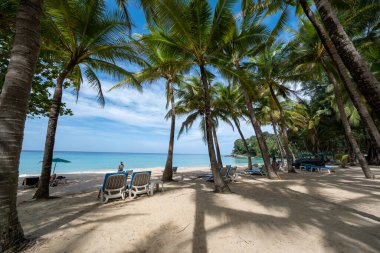 Tayland 'ın güneyindeki Phuket' te Surin plajı, Phuket 'te çok ünlü bir turistik yerdir. Güzel bir plaj, etrafında palmiyeler olan güzel bir tropikal plaj manzarası vardır. Tatil ve tatil kavramı.
