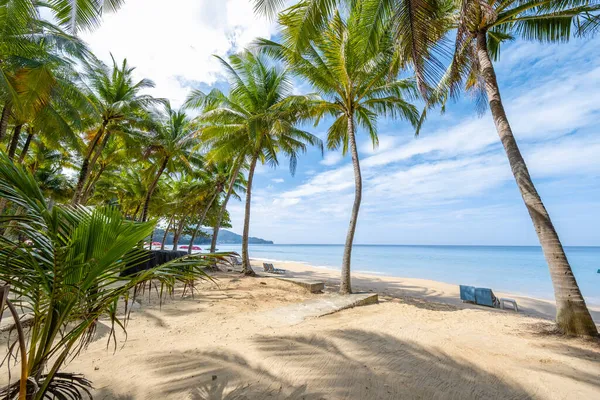 Surin plaża w Phuket, na południe od Tajlandii, Surin plaża jest bardzo znanym miejscem turystycznym w Phuket, Piękna plaża, Widok na ładną tropikalną plażę z palmami wokół. Koncepcja wakacji i wakacji. — Zdjęcie stockowe