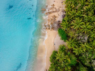 Banana Beach, Phuket, Tayland, Tayland, Phuket Adası 'nda palmiye ağaçları olan güzel bir tropikal plaj Choeng Thale, Thalang, Phuket Eyaleti, Tayland.