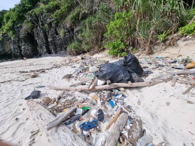 Kho Phi Phi Tayland plajları, Tayland Okyanusu 'nda plastik şişe ve çöp dolu. Tropik bir plajda toplam kirlilik.