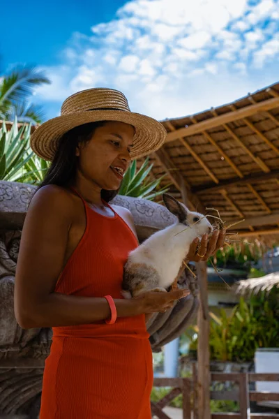 아이 농장에서 동물 과 함께 있는 여자, 동물 과놀고 있는 아시아 여자 — 스톡 사진