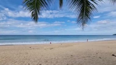 Karon plajı Phuket Tayland, Tayland 'da palmiye ağaçları olan boş kumlu plaj.