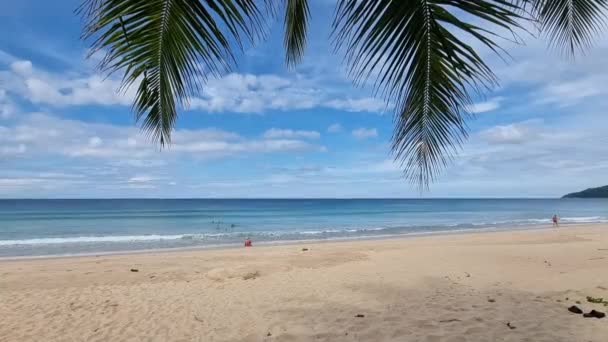 Karon plajı Phuket Tayland, Tayland 'da palmiye ağaçları olan boş kumlu plaj. — Stok video